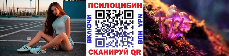 Галлюциногенные грибы прущие грибы  Западная Двина 