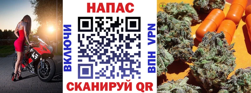 Каннабис планчик  Западная Двина 